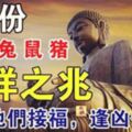 5月份，屬猴狗兔鼠豬要小心，有不祥之兆！請為他們接福，逢凶化吉~