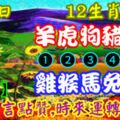 2019年6月26日，星期三，農歷五月廿四（己亥年庚午月甲午日）