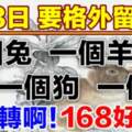 8月8日要格外留心了，一個兔，一個羊，一個狗，一個猴必須轉啊