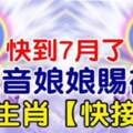 快到7月了，觀音娘娘賜福（6大生肖接財啦）