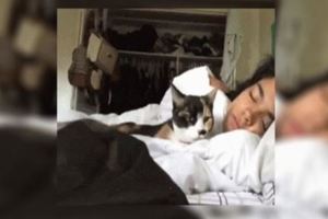 偷偷錄下貓咪在自己睡覺時的畫面...看完影片後網友的心瞬間暖成一片！