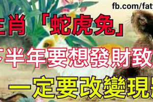 生肖「蛇虎兔」下半年要想發財致富，一定要改變現狀！