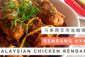 馬來美食【仁當雞】RendangChicken