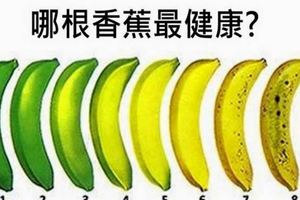 冷知識！你知道哪根「香蕉」最營養健康呢？看似簡單的問題沒想到居然這麼多人答錯！