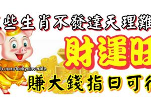 這些生肖不發達天理難容，財運旺，他日必能腰纏萬貫