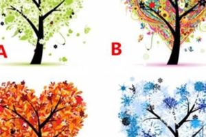 心理測試：4季愛心樹你喜歡哪顆？一秒看透你的外在和內在
