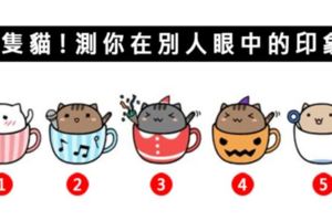 測過都說準！【心理測驗】選一隻最喜歡的貓告訴你在別人眼中是怎樣的人！
