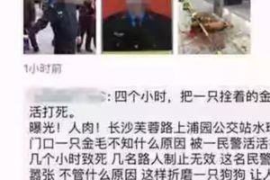 出警打狗的民警被人肉收到上萬條威脅簡訊