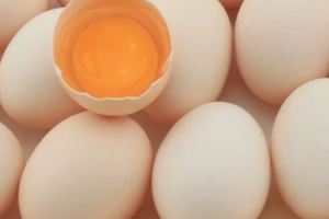 雞蛋別再放冰箱了，一個人人都能會的小方法讓雞蛋新鮮一整年
