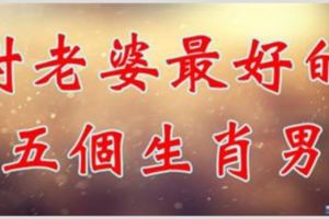 對老婆最好的五個生肖男