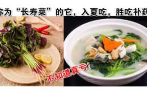 被稱為「長壽菜」的它，入夏吃，勝吃補藥！不知道真虧！|吃健康