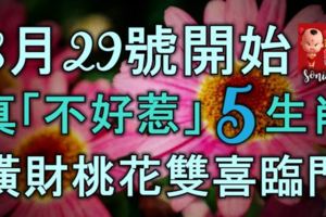 8月29號起，真「不好惹」的5大生肖，有橫財，有桃花，雙喜臨門！