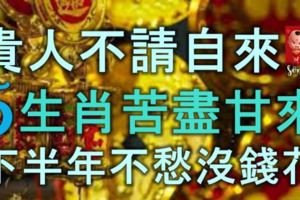 貴人不請自來，5生肖終於苦盡甘來，下半年不愁沒錢花！