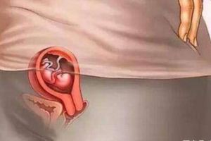 十張圖讓你看懂，胎兒是怎麼被慢慢孕育出來的，每個媽媽都該看看！