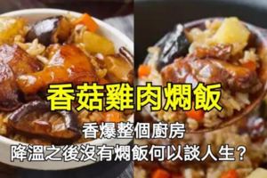 香菇雞肉燜飯這個做法，米飯口感香糯軟彈，吃起來有一種滿足感。香米的香氣加上雞肉的濃鬱氣味香濃，滿屋飄香芳香四溢