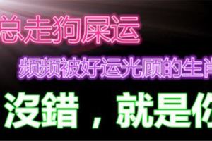 總走狗屎運，頻頻被好運光顧的生肖！沒錯，就是你！