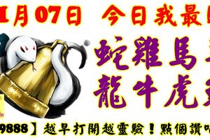 11月07日，今日我最旺！蛇雞馬羊龍牛虎兔！【99888】越早打開越靈驗！點個讚吧！