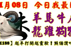 11月08日，今日我最旺！羊馬牛虎龍雞狗猴！【11188】越早打開越靈驗！點個讚吧！