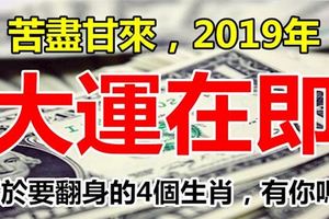 2019年升職加薪，財運連連，終於要翻身的4個生肖，有你嗎？