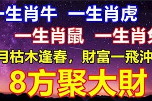 12月枯木逢春，財富一飛沖天，8方聚大財，日子不苦只甜的四大生肖！