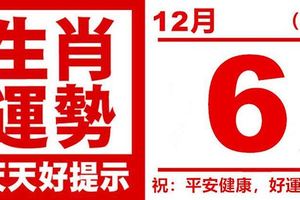 生肖運勢，天天好提示（12月06日）