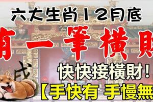 六大生肖12月底有一筆橫財，快快接橫財【手快有手慢無】