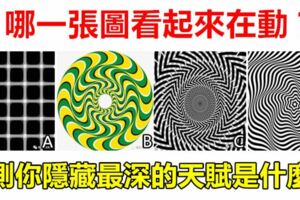 心理測試：哪一張圖看起來在動？測你隱藏最深的天賦是什麼