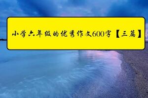 小學六年級的優秀作文600字【三篇】