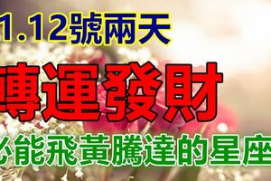 11.12號兩天，轉運發財，必能飛黃騰達的星座