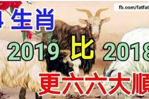 4生肖2019年比2018年更六六大順，下一站是幸福圓滿