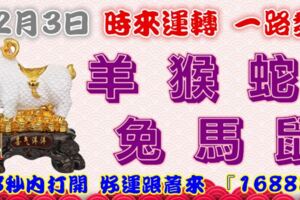 2月3日時來運轉一路發，羊猴蛇兔馬鼠，88秒內打開，好運跟著來『16888』