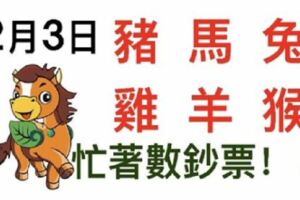 2月3日生肖運勢_豬、馬、兔大吉