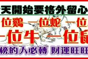 【雞，蛇，馬，牛，鼠】從今天開始要格外留心了~必須轉啊