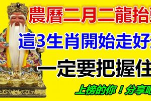 農曆二月二龍抬頭，這3生肖開始走好運，你可一定要把握住呀！