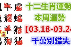 十二生肖運勢：本周運勢【03.18-03.24】千萬別錯失！