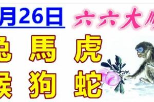 3月26日生肖運勢_兔、馬、虎大吉