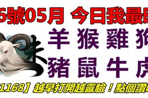 16號05月，今日我最旺！羊猴雞狗豬鼠牛虎！【51168】越早打開越靈驗！點個讚吧！