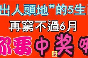 再窮不過6月！5大生肖「出人頭地」，未來的日子越來越順