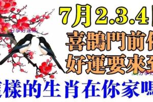 八大生肖7月2.3.4日喜鵲門前停，好運要來到