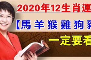 麥玲玲2020鼠年十二生肖運程提前看（下）！特別是【屬馬羊猴雞狗豬】的人