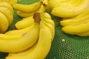 香蕉和芭蕉，是同一種食物嗎？便秘人群該吃哪種？告訴你答案