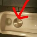 她到日本發現「馬桶被開一個洞」不敢脫褲子上廁所！一問之下發現又長知識了！