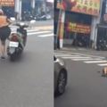 禮讓正妹騎士反害車禍　網友笑豬隊友