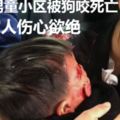 6歲男童小區被狗咬死亡，家人傷心欲絕，狗主人和物業被判賠78萬