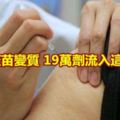 流感疫苗變質19萬劑流入這7縣市