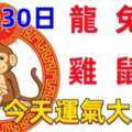 10月30日十二生肖【每日老黃曆】