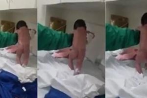 巴西女嬰出生就會走路近億網友圍觀(內有影片)