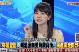 幫緩頰卻講錯話...高嘉瑜竟說「賴清德造的孽自己承擔」