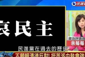 余莓莓失業哭哭 名嘴：求求民進黨讓她接不分區