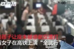 女子讓座反被打是怎麼回事高鐵上監控視頻曝光詳情